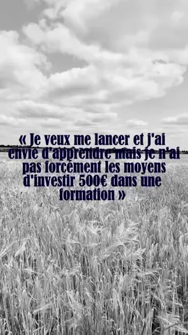 C’est possible de ne pas claquer tout ton argent dans une formation pour débuter 👀 Commente go et je t’explique tout ✨️ #MRR #formation #ventedeformationenligne #vente #entrepreneur 
