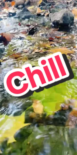 #tiktoklive #livehighlights Stop scrolling… just 10 seconds 💧✨ Let these calming water sounds wash over you and melt the stress away. Perfect for sleep, studying, anxiety relief, or just a quiet reset 🌊 Which water sound calms you the most? 👇 🎨 See more: bit.ly/JandyArt #w#waterasmr#a#asmrc#chillwatervibes#arkansas#calmingvibes#relax