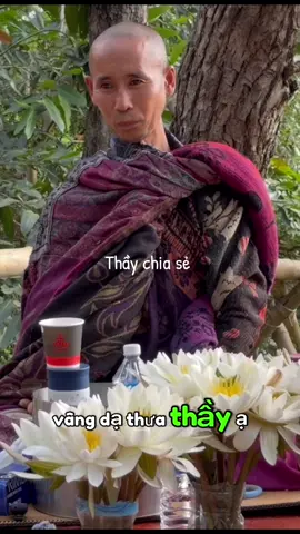 #CapCut Lâm Tỳ Ni Nepal 🇳🇵 #thaythichminhtue #thayminhtue #mitxinh💕 