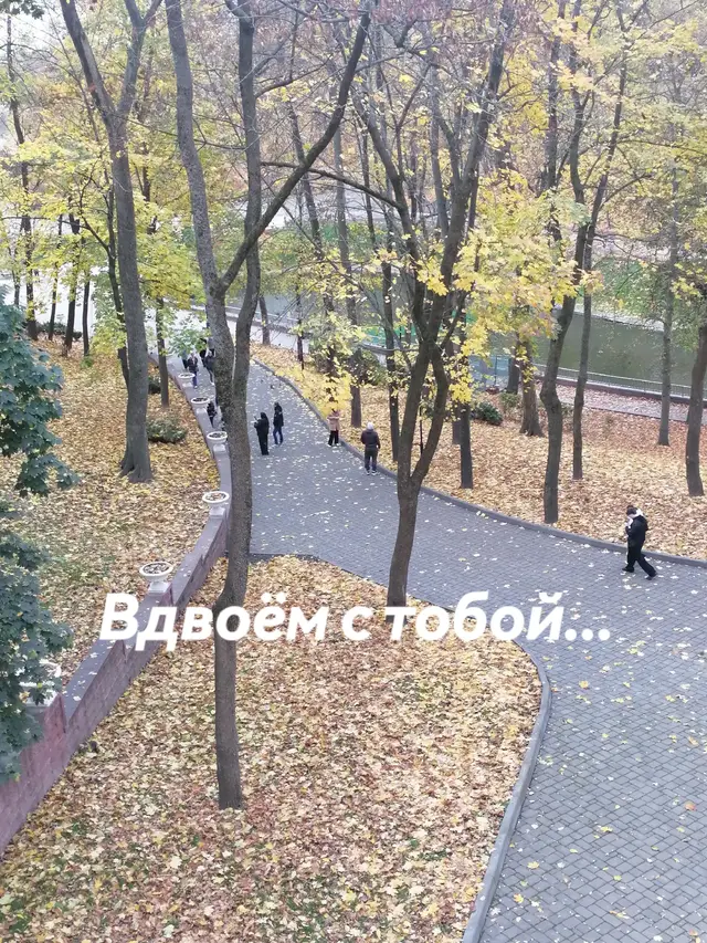 Парк#осень 
