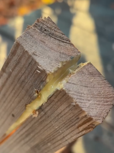 This Genius Wood Repair Trick Makes Cracks Disappear!⚡️