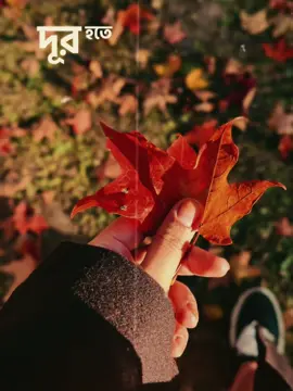 #CapCut ##musteatinmycity #viralvideorm #🍁🍁🍁🍁🍁🍁🍁🍁🍁🍁🍁🍁🍁🍁 