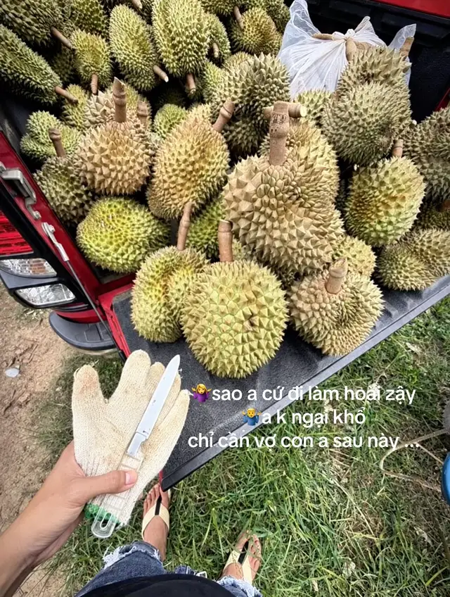 cố gắng thật nhiều🫠