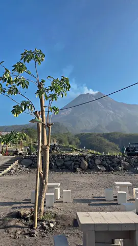 Hamparan perbukitan yang begitu luas berpadu dengan megahnya Gunung Merapi, menghadirkan pemandangan indah yang memanjakan mata dan suasana sejuk yang menenangkan. 🍃🏔️ 📍 Kopi Alam Merapi Secangkir rasa seindah viewnya. 😍 #KopiAlamMerapi #SunriseMerapi #NongkrongJogja #jogja24jam #SarapanWithView 