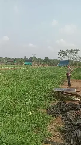 syukur Alhamdulillah