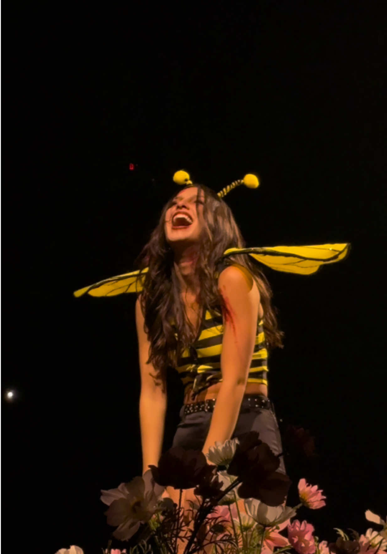 Bad idea right honey bee zombie costume!!! #concert #oliviarodrigo #youseemprettysadforagirsolinlove #columbus #halloween 